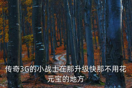 传奇3G的小战士在那升级快那不用花元宝的地方