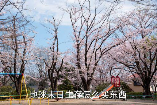 地球末日生存怎么买东西