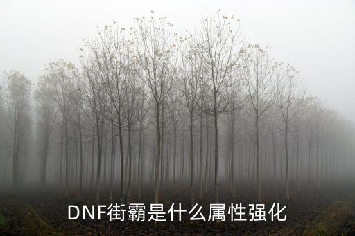 dnf街霸走什么属性强化，dnf街霸火属性强化那些技能攻击增强