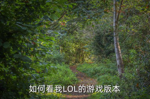 怎么看英雄联盟手游版本信息，如何看我LOL的游戏版本