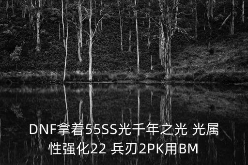 DNF拿着55SS光千年之光 光属性强化22 兵刃2PK用BM