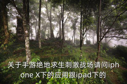 关于手游绝地求生刺激战场请问iphone X下的应用跟ipad下的