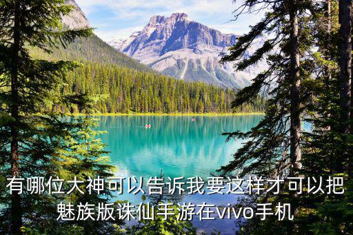 有哪位大神可以告诉我要这样才可以把魅族版诛仙手游在vivo手机