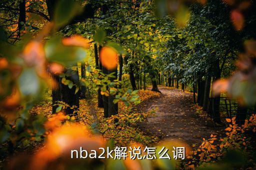 nba2k解说怎么调