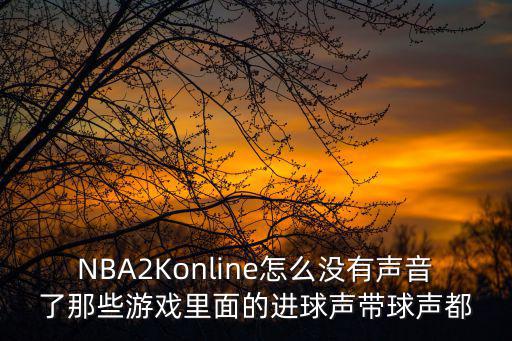 NBA2Konline怎么没有声音了那些游戏里面的进球声带球声都