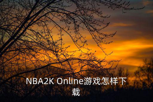 NBA2K Online游戏怎样下载