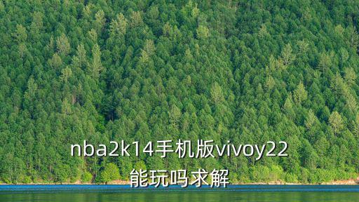 nba2k22手游vivo怎么下，vivo v13l 能下载安装nba2k12吗