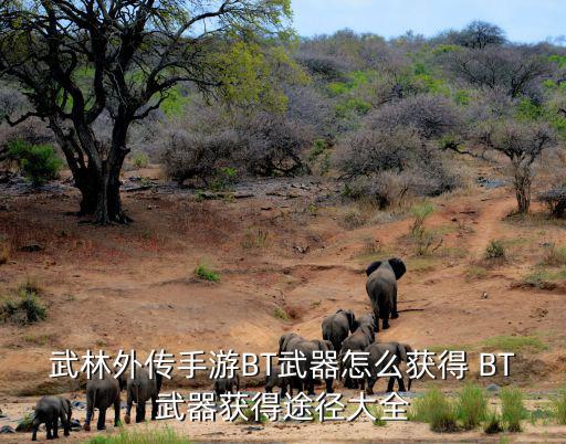 武林外传手游BT武器怎么获得 BT武器获得途径大全