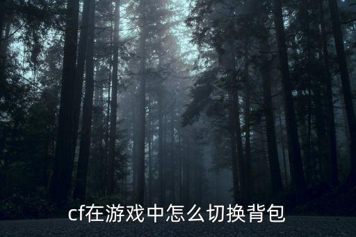 cf在游戏中怎么切换背包