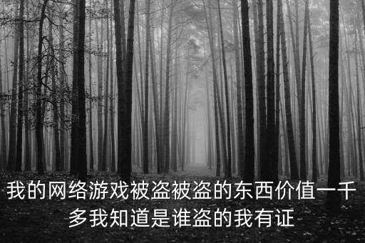 我的网络游戏被盗被盗的东西价值一千多我知道是谁盗的我有证