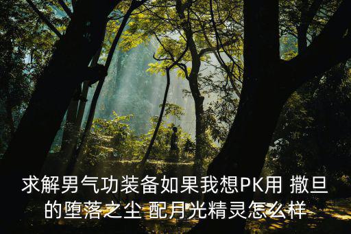 dnf手游月光精灵怎么样，求解男气功装备如果我想PK用 撒旦的堕落之尘 配月光精灵怎么样