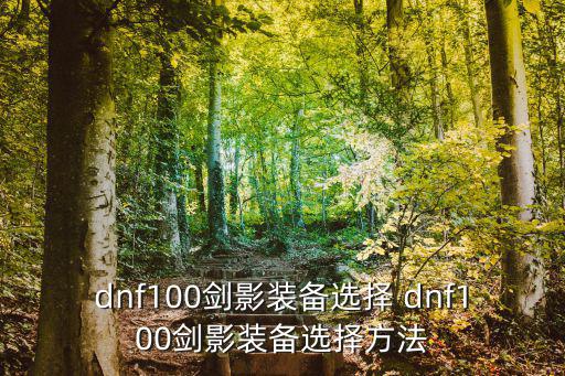 dnf100剑影装备选择 dnf100剑影装备选择方法