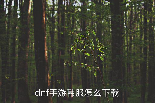 dnf手游韩服怎么下载