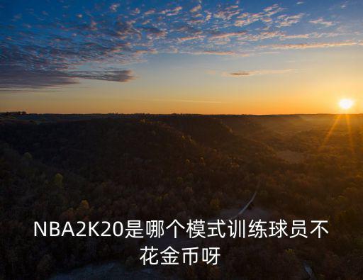 NBA2K20是哪个模式训练球员不花金币呀