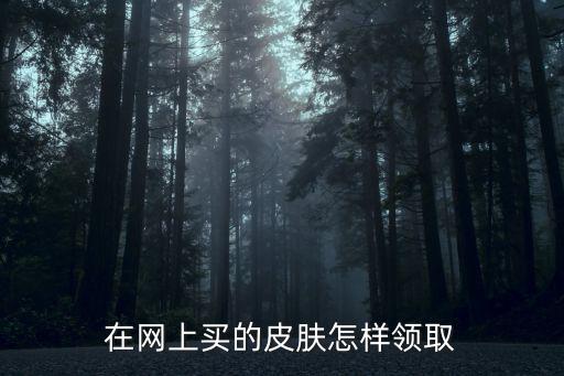 在网上买的皮肤怎样领取