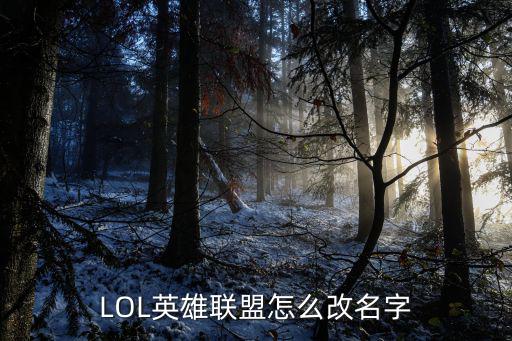 LOL英雄联盟怎么改名字