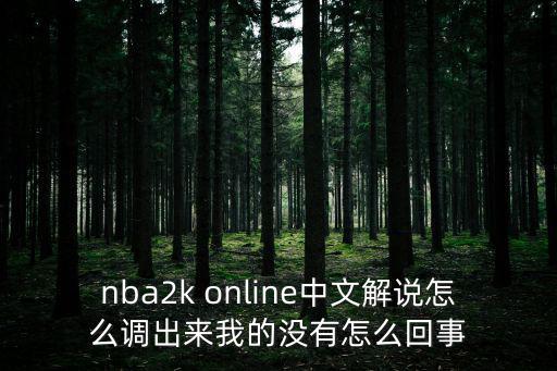 nba2k online中文解说怎么调出来我的没有怎么回事