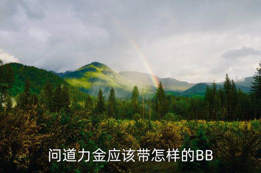 问道力金应该带怎样的BB