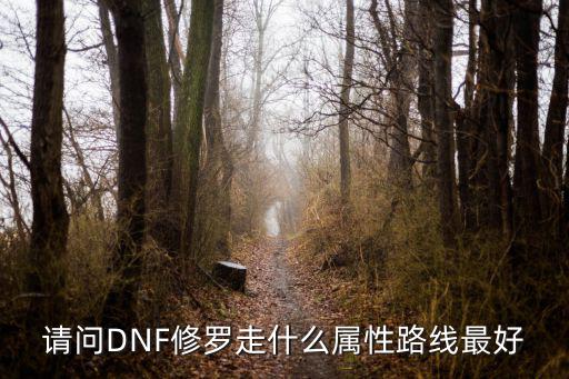 请问DNF修罗走什么属性路线最好