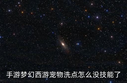 手游梦幻西游宠物洗点怎么没技能了