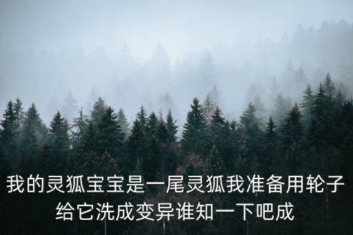 cf手游灵狐怎么洗属性，我的灵狐宝宝是一尾灵狐我准备用轮子给它洗成变异谁知一下吧成