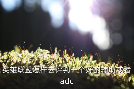 英雄联盟怎样去评判一个好的辅助或者adc