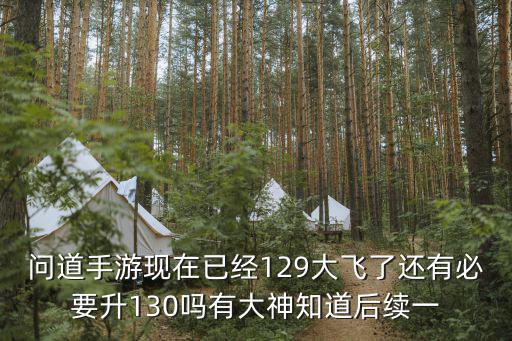 问道手游现在已经129大飞了还有必要升130吗有大神知道后续一