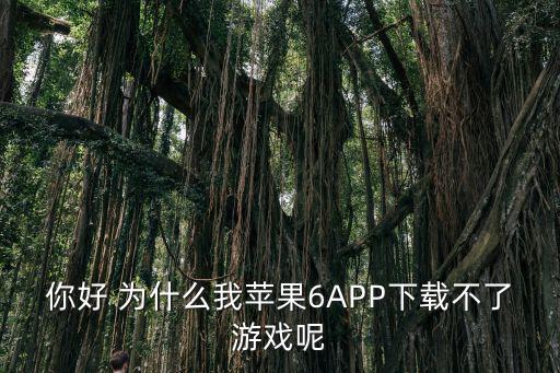 你好 为什么我苹果6APP下载不了游戏呢