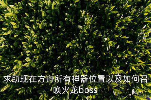 求助现在方舟所有神器位置以及如何召唤火龙boss