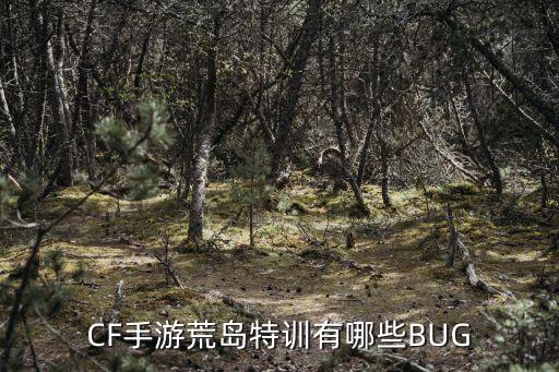 CF手游荒岛特训有哪些BUG