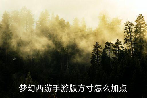 梦幻西游手游版方寸怎么加点