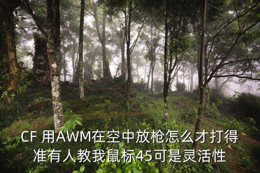 CF 用AWM在空中放枪怎么才打得准有人教我鼠标45可是灵活性