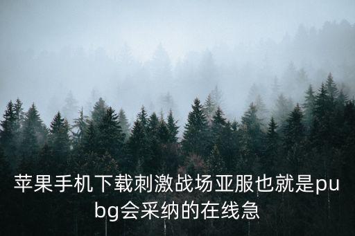 苹果手机下载刺激战场亚服也就是pubg会采纳的在线急