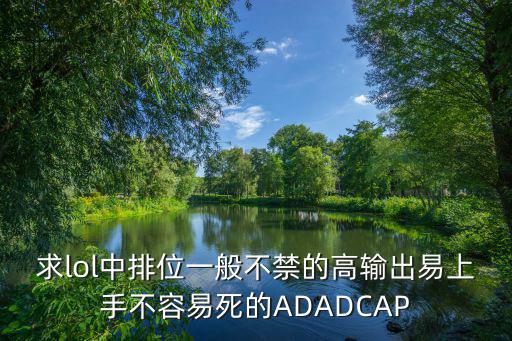 求lol中排位一般不禁的高输出易上手不容易死的ADADCAP