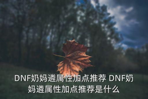 DNF奶妈遴属性加点推荐 DNF奶妈遴属性加点推荐是什么