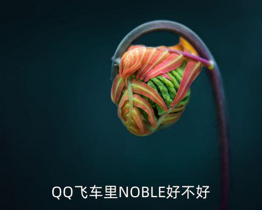 QQ飞车里NOBLE好不好