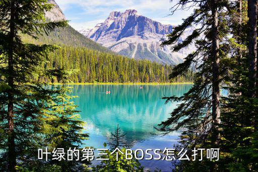 叶绿的第三个BOSS怎么打啊