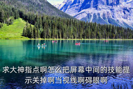 怎么关闭lol手游技能指示器，求大神指点啊怎么把屏幕中间的技能提示关掉啊当视线啊碍眼啊