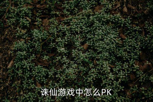 诛仙游戏中怎么PK