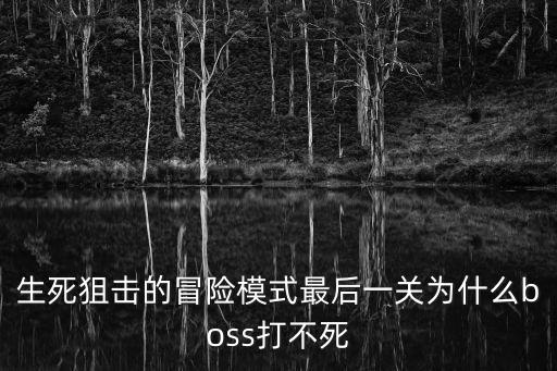 生死狙击手游最后一关怎么过，生死狙击的冒险模式最后一关为什么boss打不死