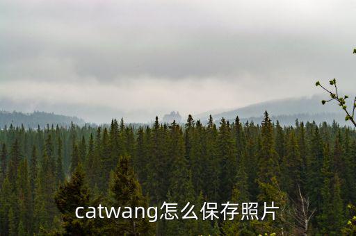 catwang怎么保存照片