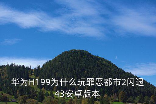 华为H199为什么玩罪恶都市2闪退43安卓版本