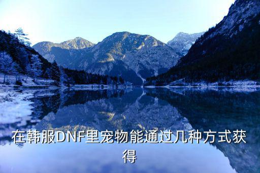 在韩服DNF里宠物能通过几种方式获得