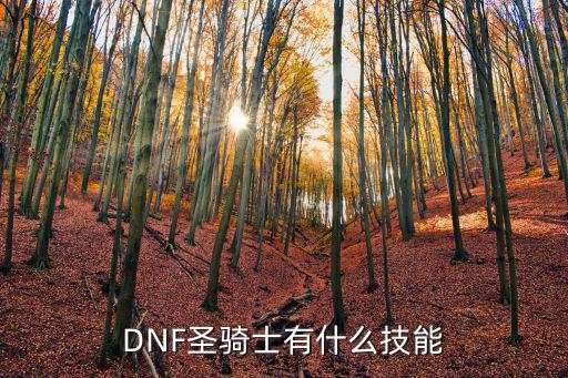 DNF圣骑士有什么技能