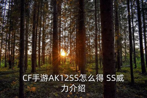 CF手游AK12SS怎么得 SS威力介绍