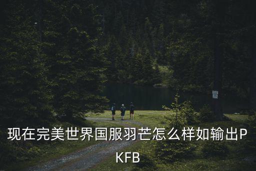 现在完美世界国服羽芒怎么样如输出PKFB