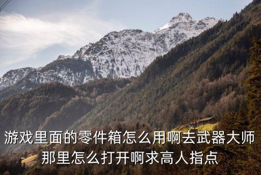 游戏里面的零件箱怎么用啊去武器大师那里怎么打开啊求高人指点