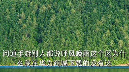 问道手游别人都说呼风唤雨这个区为什么我在华为商城下载的没有这