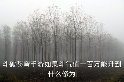 斗破苍穹手游如果斗气值一百万能升到什么修为