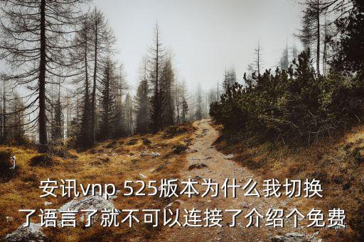 安讯vnp 525版本为什么我切换了语言了就不可以连接了介绍个免费